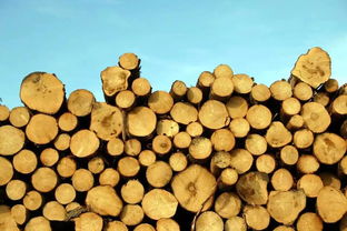 家居人必看的年度盘点 2017中国家居行业十大关键词之木制品