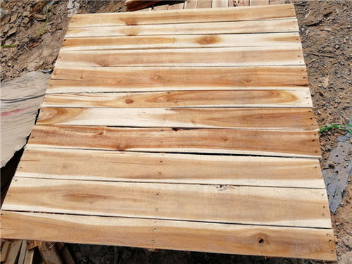 东莞联合木制品经营部 循环利用，变废为宝的绿色守护者